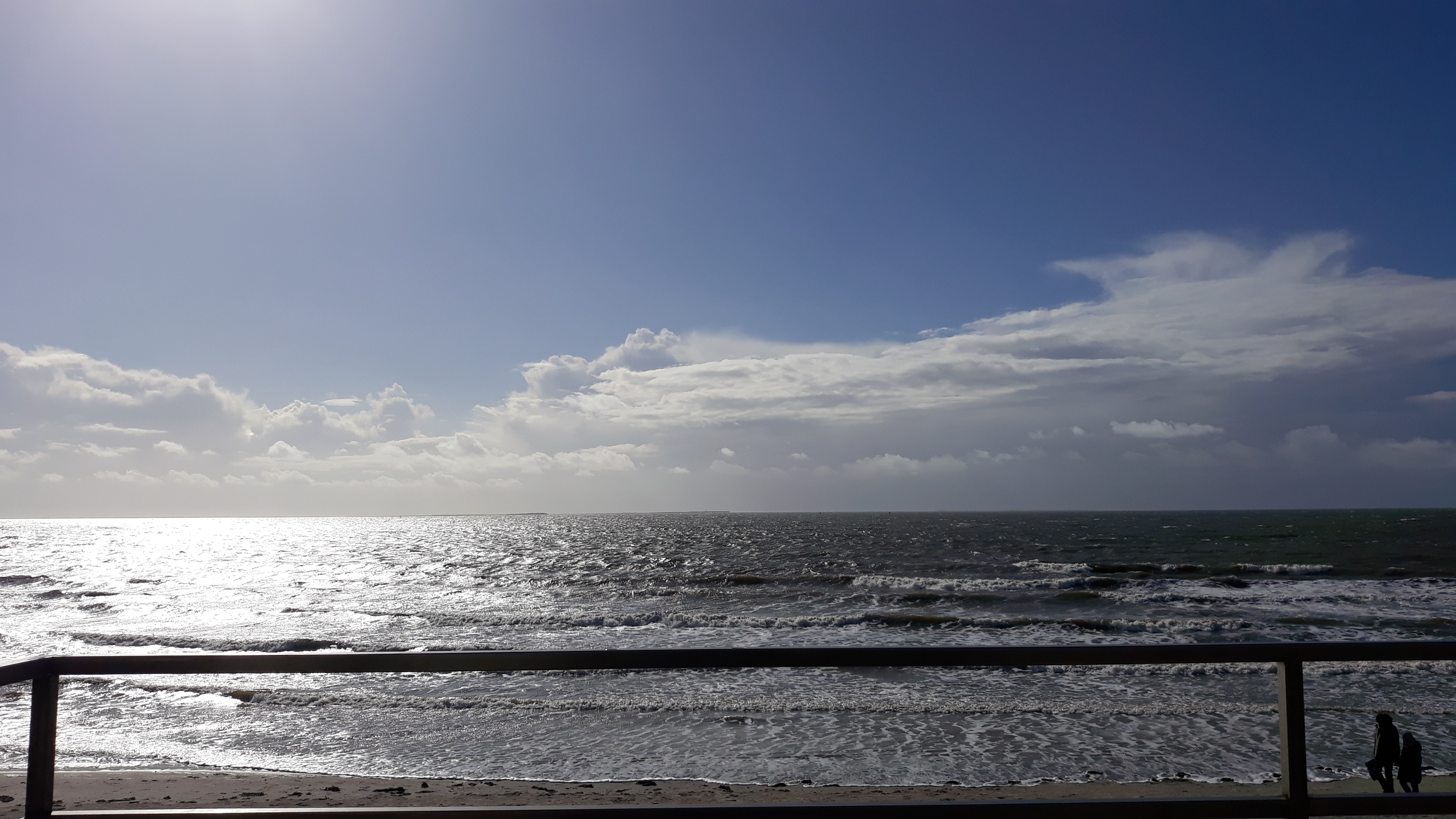IMG-20221001-WA0016